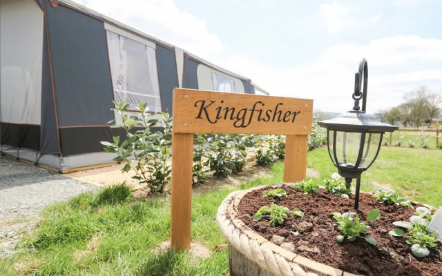 The Kingfisher