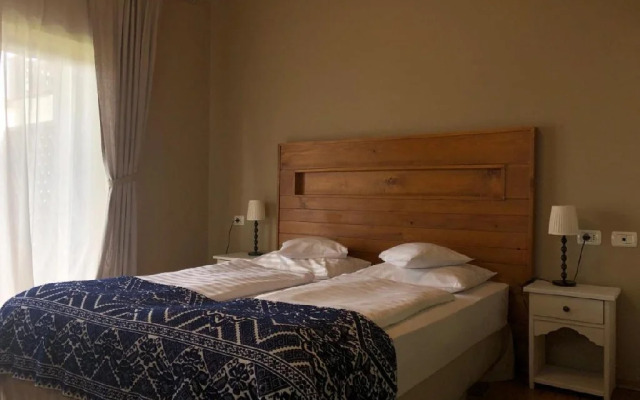 Bucovina Lodge Pension