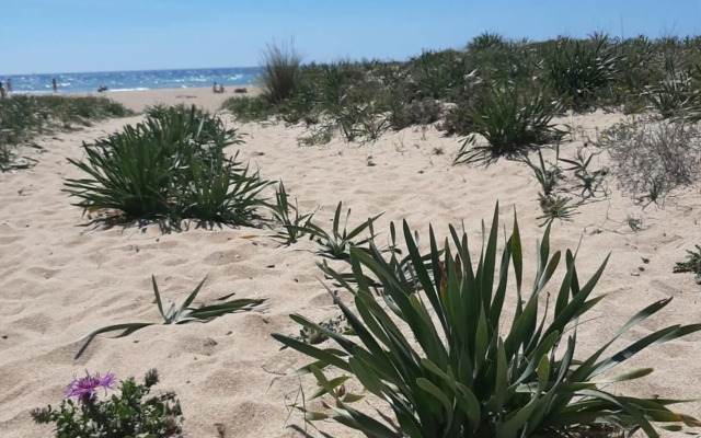 Rompeolas 16-Atlanterra