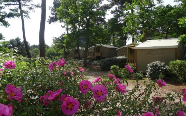 Camping Les Pins de Sel