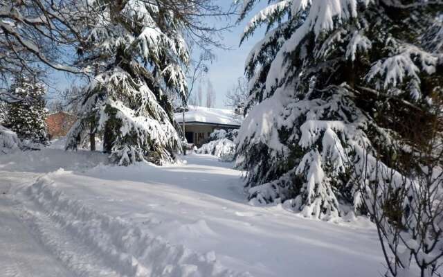 I Cedri B&B