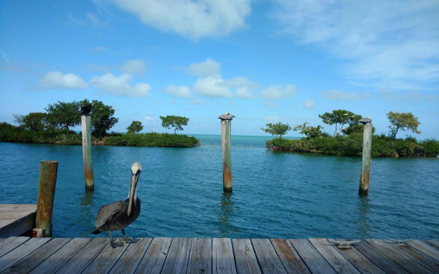Conch Key Fishing Lodge and Marina