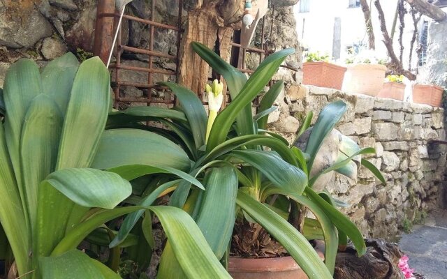 Pensione Casa Gialla