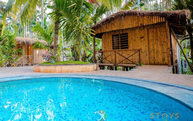 Woodpecker Exotic Retreat & Spa