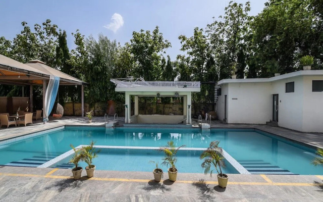 Damore Hotels And Resorts