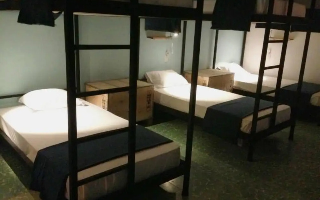 Blue Bicycle House - Hostel