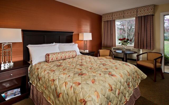 Wellfleet Motel and Lodge