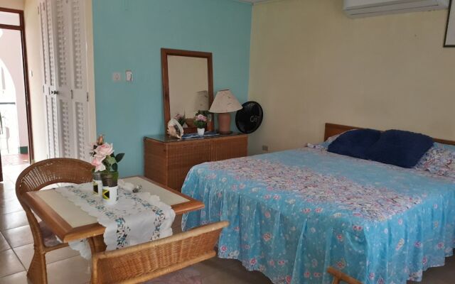 Beautiful 1-bed Beach Side Studio in Montego Bay