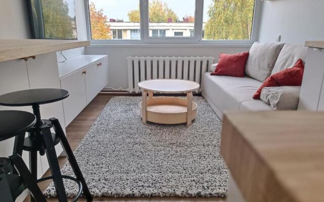 Stylish Studio in Central Vilnius