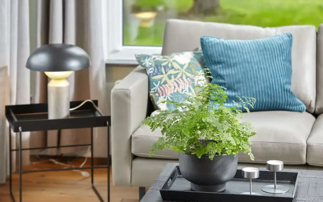 Ferienhäuser & Appartments Düneneck 6