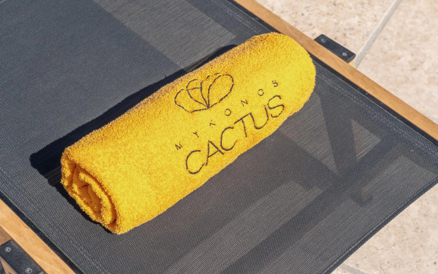 Mykonos Cactus