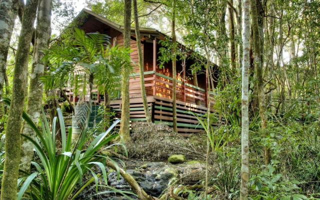 The Mouses House Rainforest Retreat