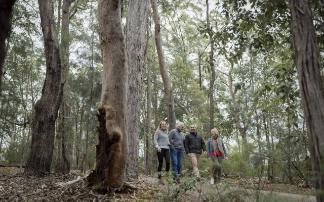 Spicers Sangoma Retreat - Adults Only