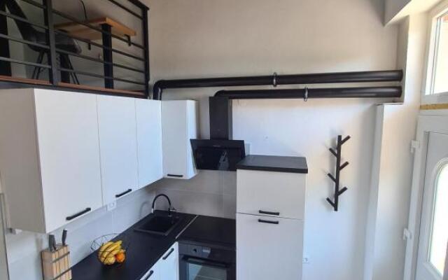 Studio Apartman ''IN''