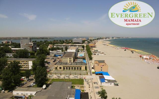 Evergreen Vlas Mamaia