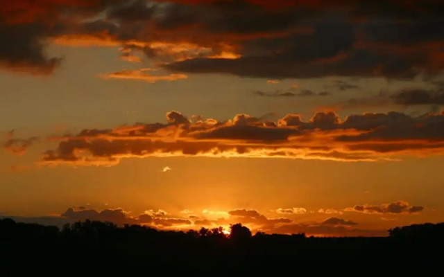 Apartment in Feldberger Seenlandschaft
