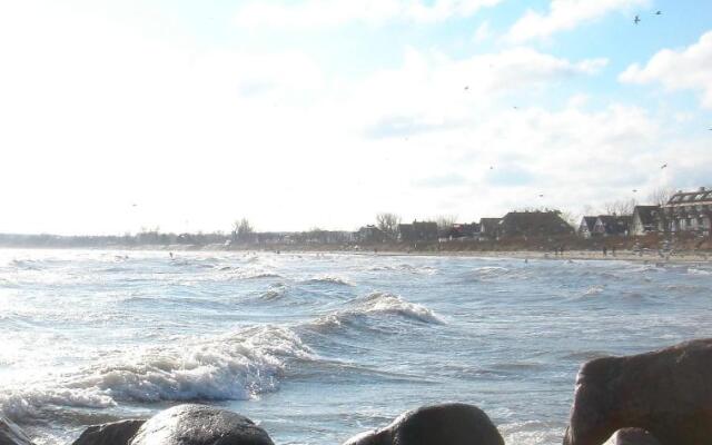 Strandläufer - [#29764]