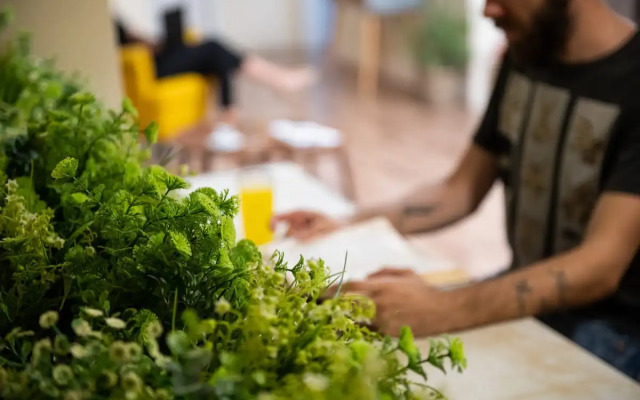 Enattica Syntagma Living