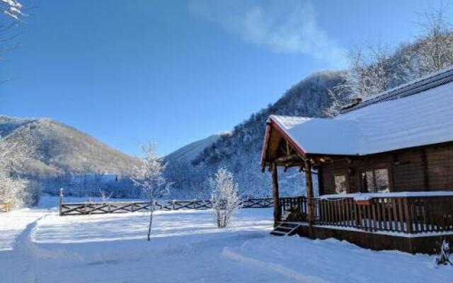 The Little Mountain Cabin