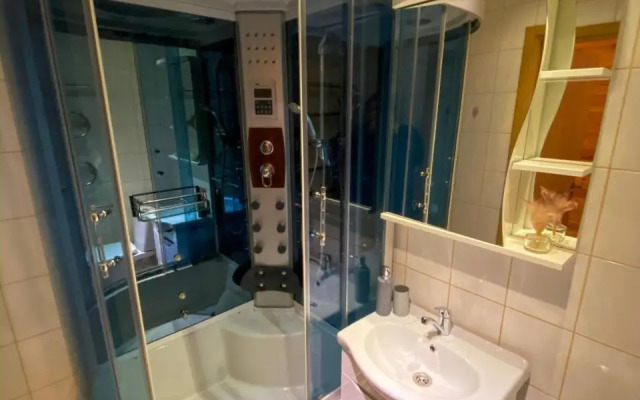 Cozy one bedroom apartment in the city center
