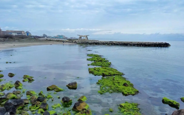 Aivazovsky Park ap, Anchialos H14