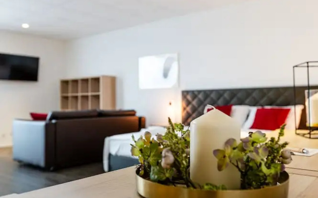 Hine Adon Apart Hotel Bern-airport