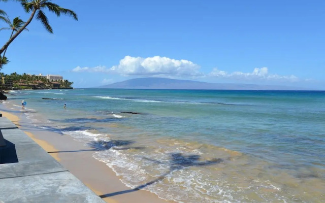 Unit 201 1 Bedroom Condo