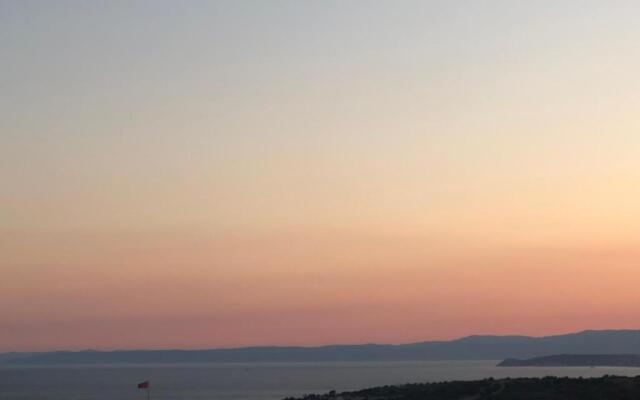 Zeytiny l Tiny Houses & Farm l Çeşme