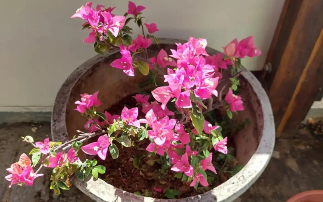 Residence Rota do Sol