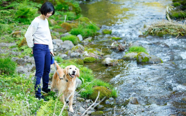 Izumigo Takayama Dog Paradise Hotel
