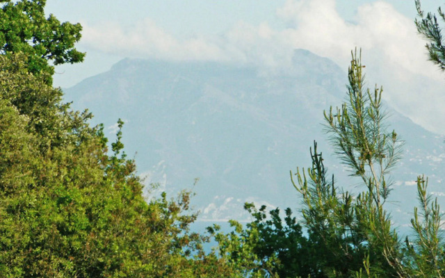 Residenza Le Rose Villa dArte