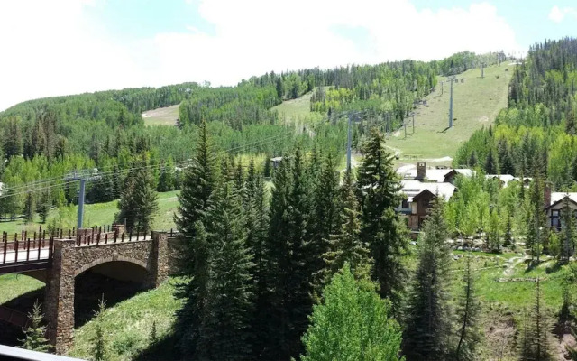 Ski in, Ski out Studio Condo in the Heart of Lionshead Village with Hot Tub and Pool Access
