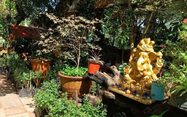 Mansarover Home Stay