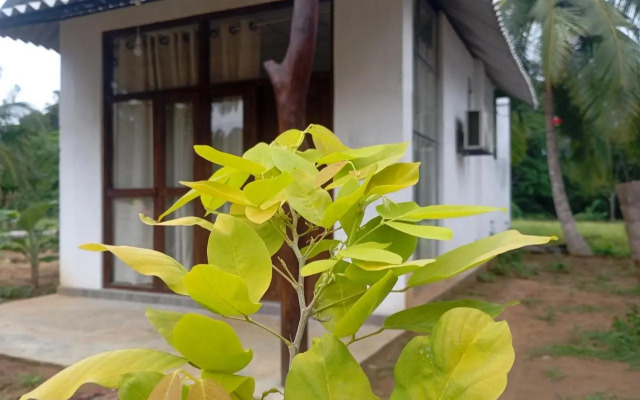 Big House Udawalawe