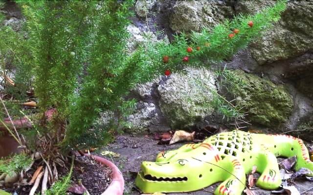 B&B La Salamandra Kitchengarden