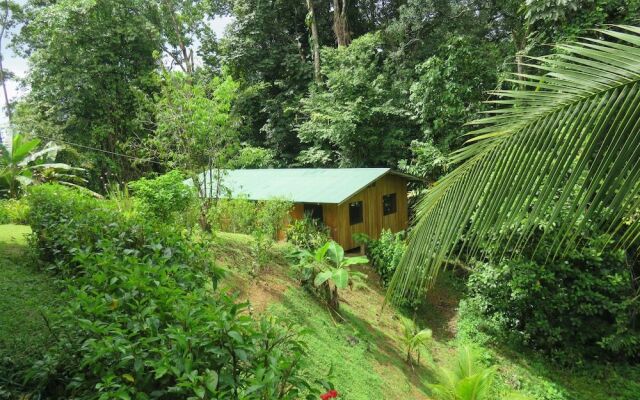 Cabañas Bajo Bosque Drake