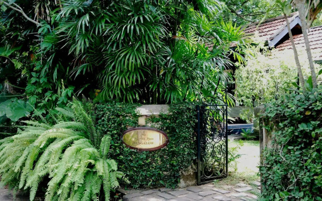 Havelock Place Bungalow