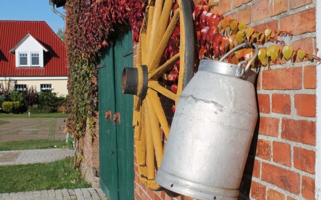 Comfy Apartment in Kühlungsborn near Town Center