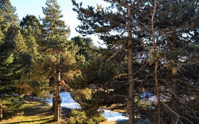 Appartement Font-Romeu-Odeillo-Via, 3 pièces, 6 personnes - FR-1-580-32