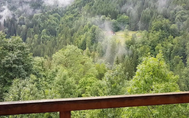 Appartement Saint-Jean-d'Aulps, 1 pièce, 4 personnes - FR-1-573-86