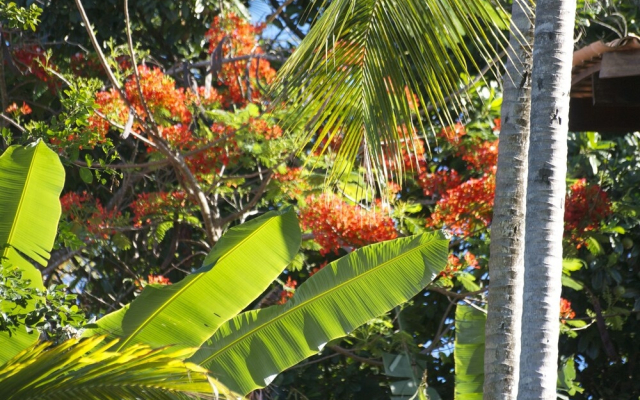 Paraíso em Itacaré - Praia de São José e Prainha