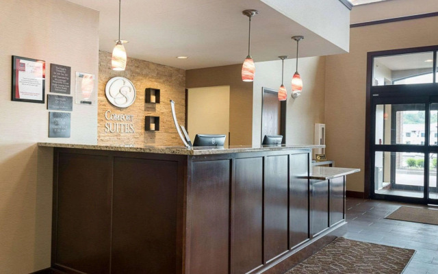 Comfort Suites Bridgeport - Clarksburg