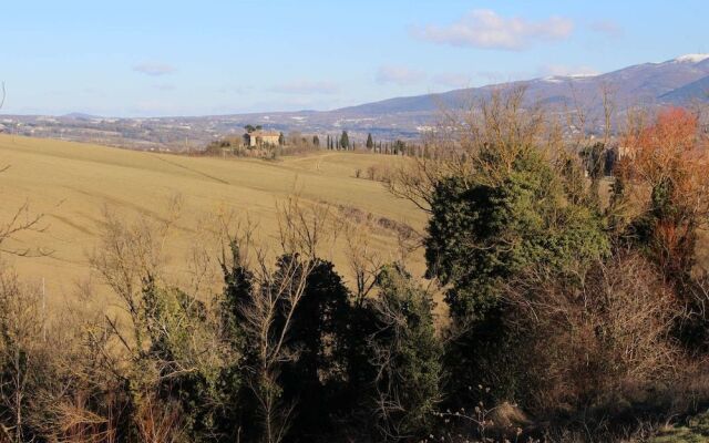 Il Poggio Del Tartufo
