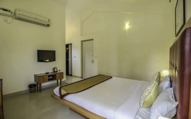 Shangrila Revive