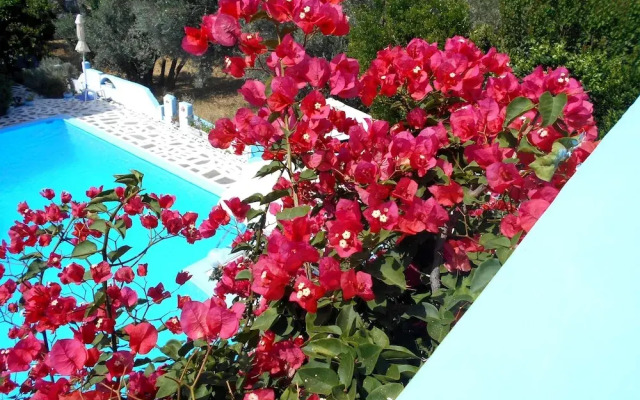 Meltemia Studio Samos Near the Beach