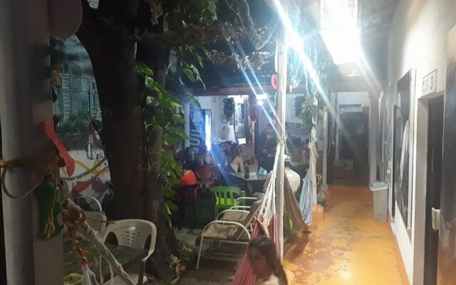 Tree House Hostel