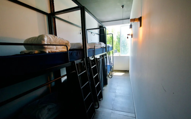 Jungle Jaffa Hostel Age 18 to 45