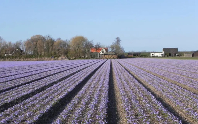 Appels en Peren Bed and Breakfast