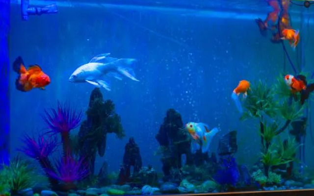 Xinyi Hotel (Xuanwu Lake Hunan Road Zhongda Hospital)