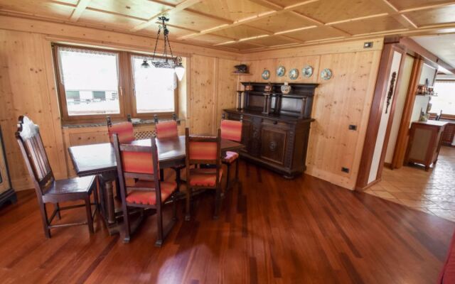 Cesa Galaldriel 29973